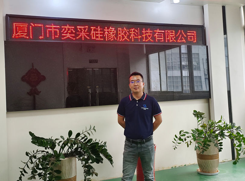 China Xiamen E-purchasing silicone rubber technology Co.,Ltd Bedrijfsprofiel